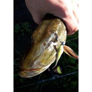 Przynęta MIKADO Fish Fry 8cm / 362 5szt - obrazek 2