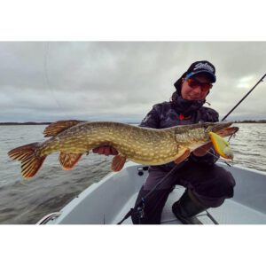 Wobler Salmo Slider 10 cm - tonący - Wounded Real Grey Shiner - obrazek 3