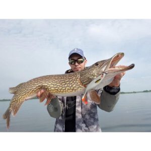 Przynęta WESTIN ShadTeez High 12cm 15g Pearl Sand - 1 szt - obrazek 2