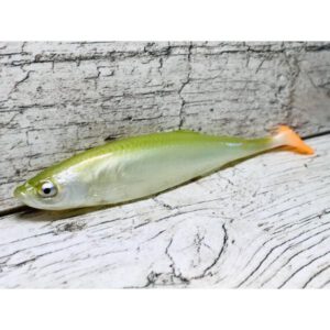 Guma SEWRO CUSTOM BAIT Ukleja 16cm Oliwka Kopyto Pomarańcz - obrazek 2