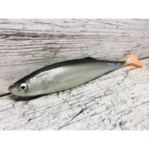 Guma SEWRO CUSTOM BAIT Ukleja 16cm- Czarna Kopyto Pomarańcz - obrazek 2
