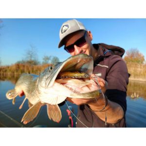 Guma MIKADO MFT Roach 18cm Pike - obrazek 2