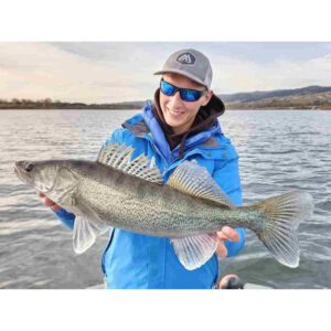 Guma MIKADO MFT Roach 8cm Bleedeng Blue - obrazek 2