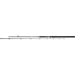 Wędka Castingowa MIKADO Bixlite Pike Master 240 c.w. 30-105 g (2 sec) - obrazek 1