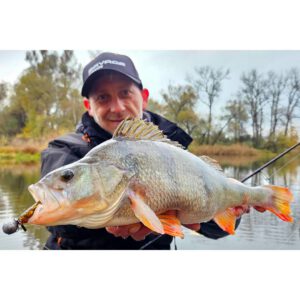 Guma SAVAGE GEAR Craft Bleak 7cm 2.5g Firetiger 1szt - obrazek 2