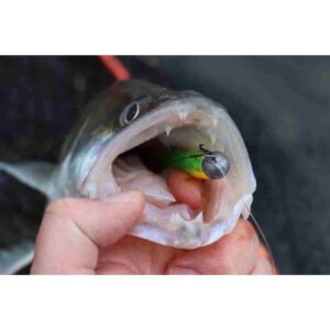 Guma SAVAGE GEAR Craft Bleak 10cm 6.8g Lemon Glow Firetail 1szt - obrazek 2