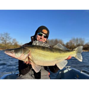 Przynęta WESTIN TwinTeez Pelagic V-Tail 20cm - 30g - Baitfish Ghost - obrazek 2