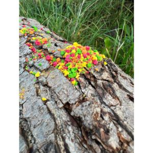 Fluo Mix Method Mania - Yellow Spin 75ml - obrazek 3