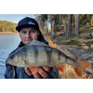 Przynęta Perch Professor F**king Leech 2"/5,5cm - #02 Purple Pepper - 12 szt. - obrazek 2