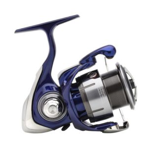 Kołowrotek Daiwa 24 TDR Match & Feeder 4012QD - obrazek 2
