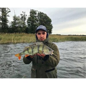 Westin ShadTeez Slim Bass Orange 7,5cm 3g - obrazek 2