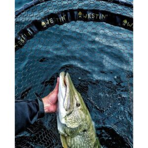 Podbierak Westin W3 CR Landing Net XL - obrazek 2