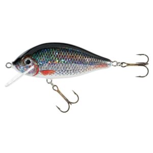 Wobler JAXON Karaś 7.5cm, Pływający - P - obrazek 1