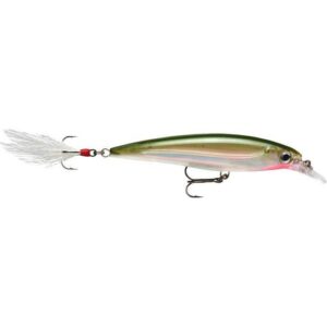 Wobler Rapala X-Rap - 10cm - OG - obrazek 1