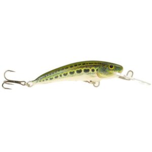 Wędka JAXON Eclatis Carp-3 390cm 3lbs (3sec) - obrazek 1