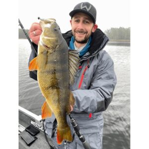 Przynęta WESTIN Ned Worm 7cm Black/Chartreuse 1 szt. - obrazek 2