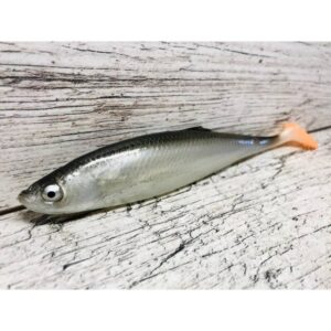 Guma SEWRO CUSTOM BAIT Ukleja 16cm- Czarna Kopyto Pomarańcz - obrazek 2