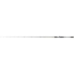 Wędka ROBINSON CityLiner Pro Cast 1.98m 40-100g (1sec) - obrazek 1