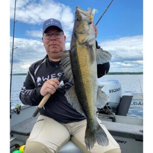 Przynęta WESTIN TwinTeez V-Tail 20cm 32g - Gold Perch - 1szt. - obrazek 2