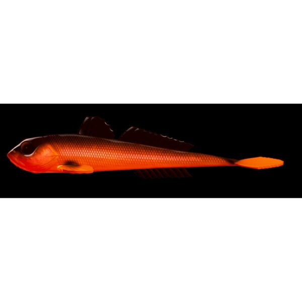 41520_1