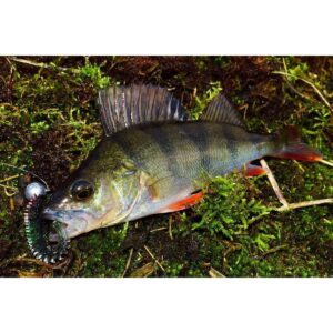 Fox Rage Spikey Shad 12 cm - Lemon Tiger - obrazek 2