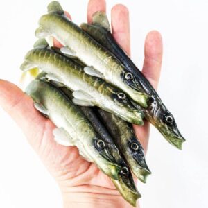 Przynęta ANGRY LURES Pike 19cm- NTA - obrazek 2