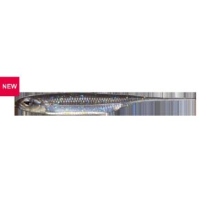Fish Arrow Flash-J 3" - Crystal Wakasagi/Silver #41 - 1 szt. - obrazek 1