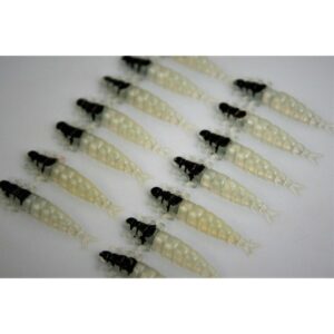 Przynęta FISHCHASER Chruścik / 2.4cm / 5szt. / Pearl - obrazek 2