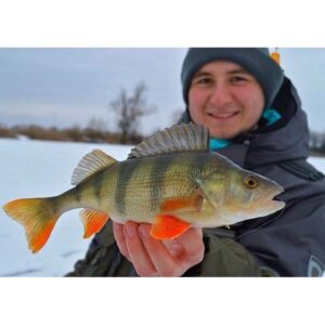 Żuczek podlodowy Mikado Ice Bug 4mm - wolfram - Fioletowo-czarny - obrazek 2