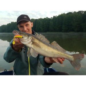 Przynęta MIKADO FISHUNTER 8cm, kolor 380 op 5szt - obrazek 2