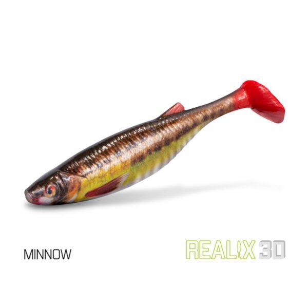 42315_1