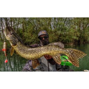 Savage Gear 4D Perch Shad 17.5cm SS 67g - Perch - obrazek 2
