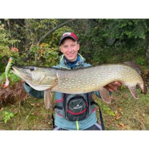 Przynęta MIKADO FISHUNTER 13cm, kolor 75 3szt - obrazek 2