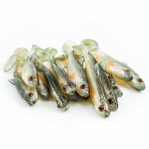Przynęta ANGRY LURES Chub - 7cm - NOO - obrazek 2