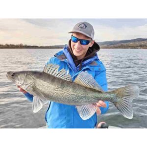 Guma MIKADO MFT Roach 8cm Vampire Roach - obrazek 2