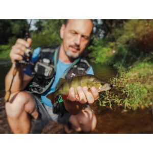 Przynęta Perch Professor Fluky Shad 2.5"/6, 5cm - #01 Original - 6 szt. - obrazek 2
