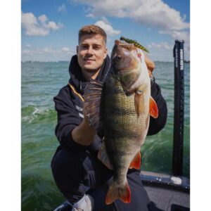 Przynęta Nays ND25 2.5" - 6.4cm  - C-22 - 8szt. - obrazek 2