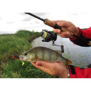 Fox Rage Spikey Shad 12 cm - Lemon Tiger - obrazek 3