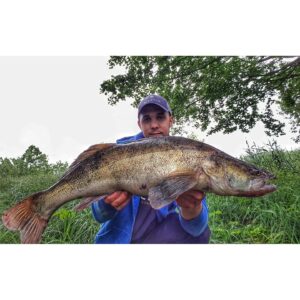 Keitech Easy Shiner 4"/10, 16cm #410 CRYSTAL SHAD - 7szt. - obrazek 3