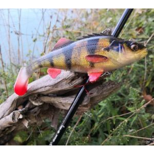 Savage Gear 4D Perch Shad 17.5cm SS 67g - Perch - obrazek 3