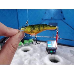 Wobler Salmo Rail Shad 6cm - tonący - Holographic Purpledescent - obrazek 3