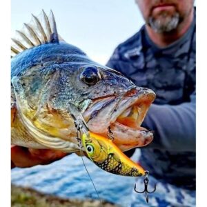 Wobler Salmo Hornet 4 cm -Tonący - Hot Perch - obrazek 3