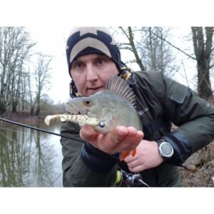 Przynęta WESTIN Stanley The Stickleback - Lively Roach - 9cm - 1 szt. - obrazek 3