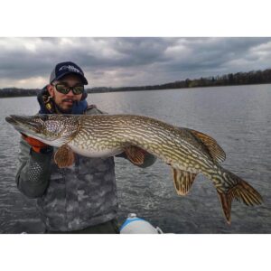 Zestaw przynęt SAVAGE GEAR 3D LB River Roach 12cm Clear Water MIX - 4 szt - obrazek 3