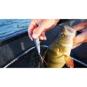 Salmo Rattlin Pop 7cm - pływający - Green Gill - obrazek 3