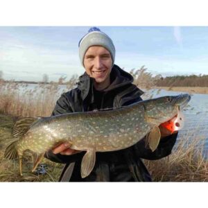 Guma MIKADO Sicario Pike Tail 10.5cm Roach - obrazek 3