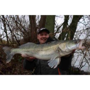 Guma SAVAGE GEAR Craft Bleak 10cm 6.8g Roach 1szt - obrazek 3