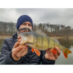 Przynęta WESTIN BloodTeez - bloodworm - 7, 5cm - 6 szt. - obrazek 3