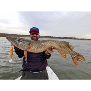 Przynęta Westin Ricky the Roach ST 14 cm 42 g Lively Roach - 1szt - obrazek 3