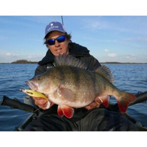 Przynęta WESTIN ShadTeez High 7cm 4g Official Roach - 1 szt - obrazek 3